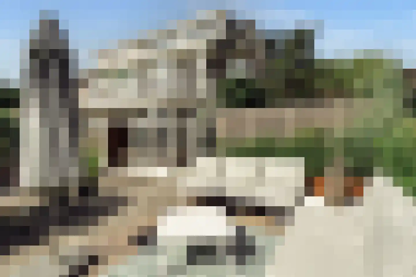 Pa Verkuijllaan 34 Badhoevedorp thumbnail 40