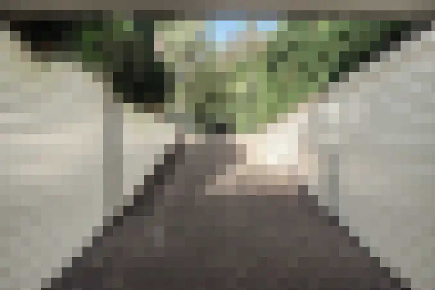 Pa Verkuijllaan 34 Badhoevedorp thumbnail 42
