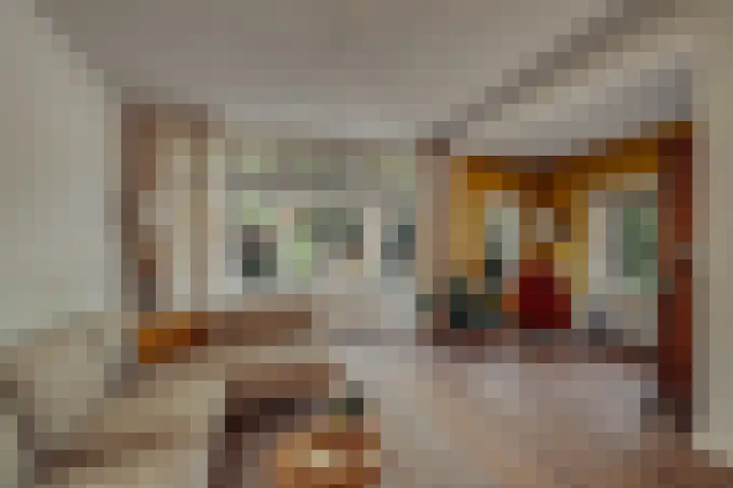 Pa Verkuijllaan 34 Badhoevedorp thumbnail 7