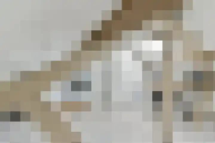 Pa Verkuijllaan 71 Badhoevedorp thumbnail 20