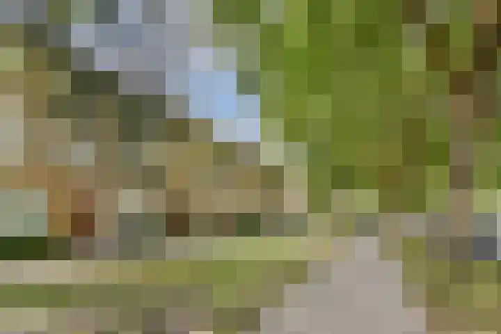 Pa Verkuijllaan 71 Badhoevedorp thumbnail 25