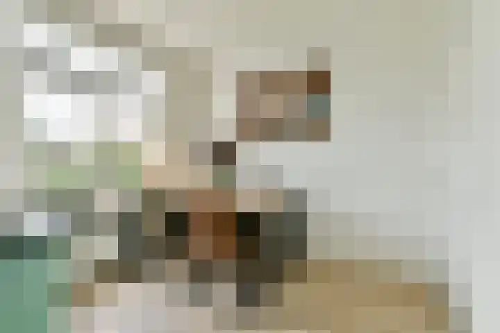 Pa Verkuijllaan 71 Badhoevedorp thumbnail 8