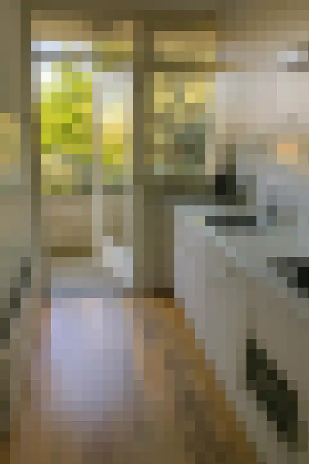 Pa Verkuijllaan 89 Badhoevedorp thumbnail 6