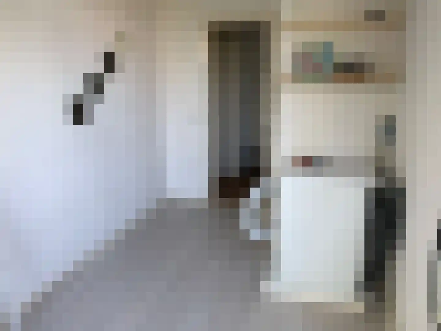 Pa Verkuijllaan 89 Badhoevedorp thumbnail 7