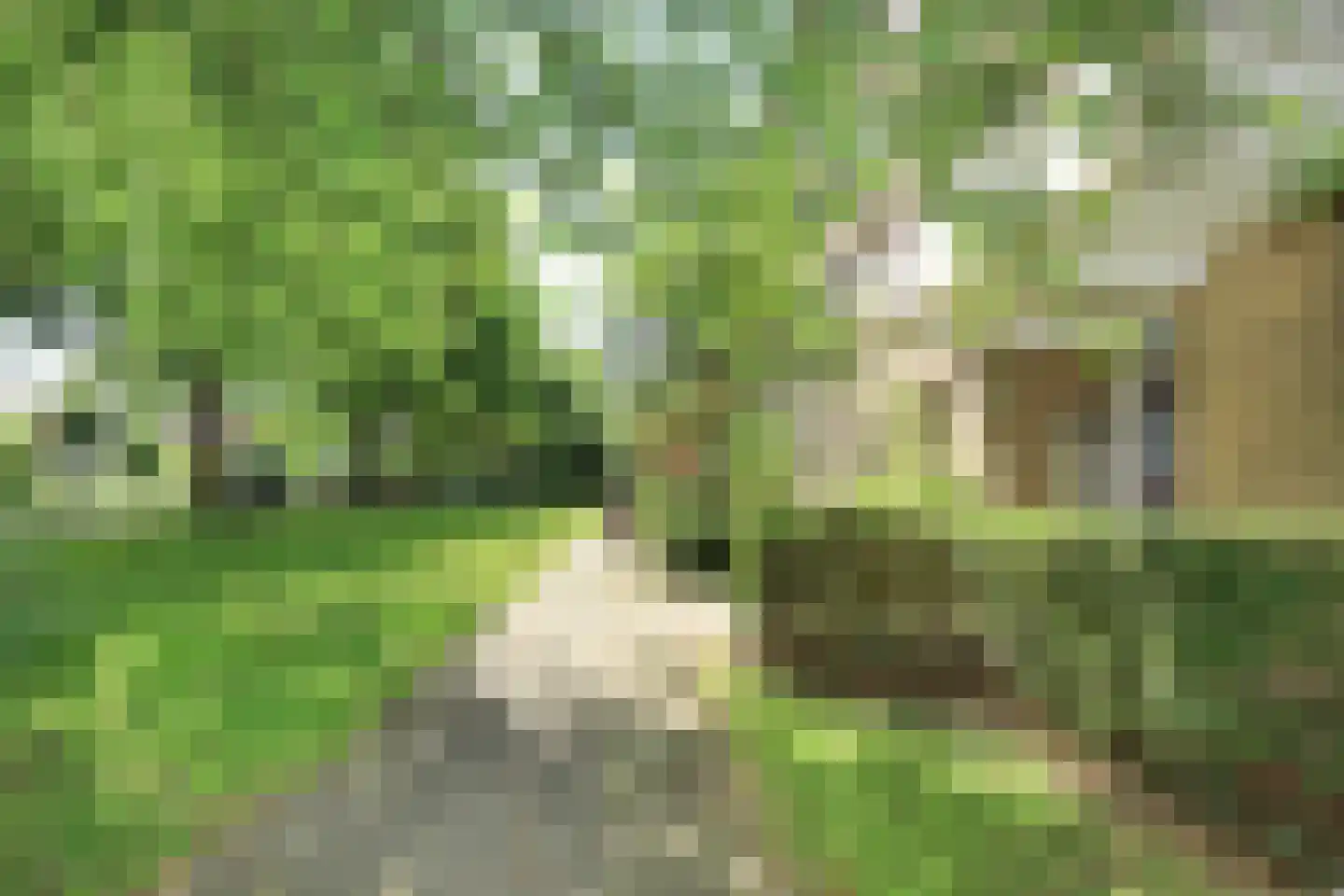 Pa Verkuijllaan 97 Badhoevedorp foto 2