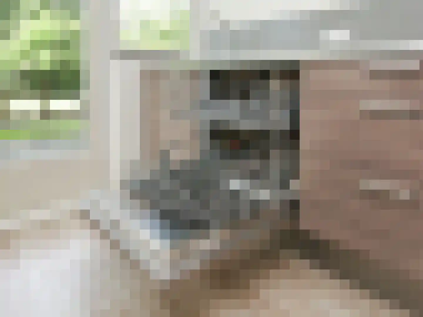 Pa Verkuijllaan 97 Badhoevedorp thumbnail 21