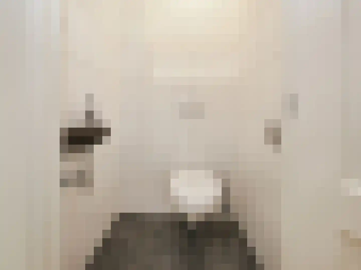 Pa Verkuijllaan 97 Badhoevedorp thumbnail 32