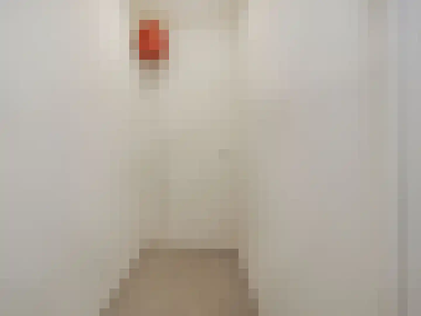 Pa Verkuijllaan 97 Badhoevedorp thumbnail 33