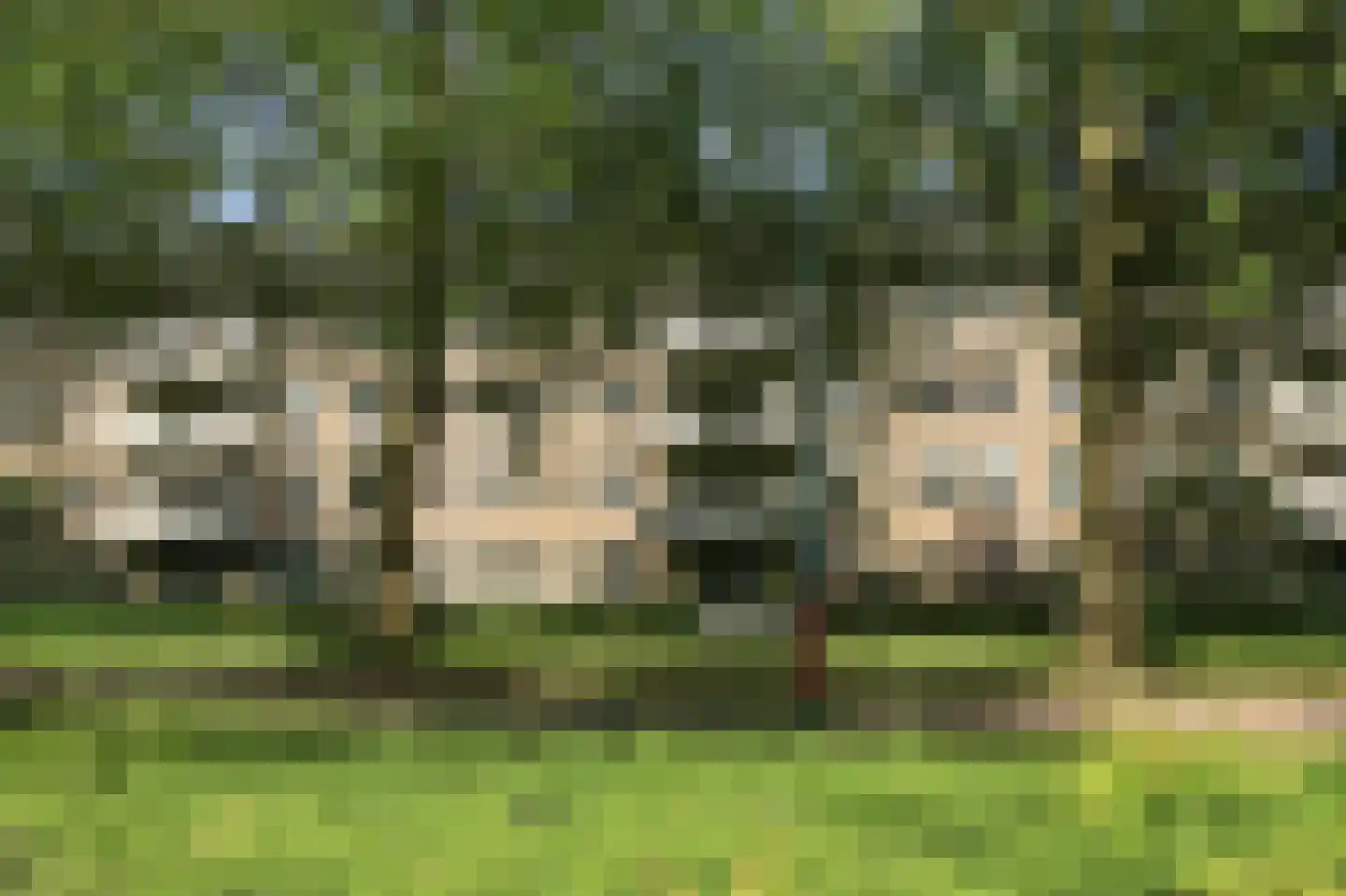 Pa Verkuijllaan 97 Badhoevedorp thumbnail 36