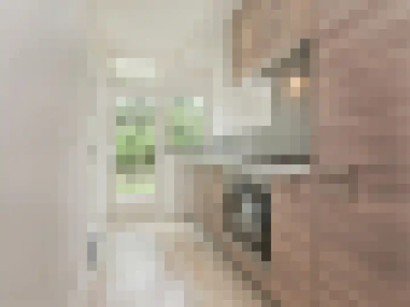 Pa Verkuijllaan 97 Badhoevedorp thumbnail 4