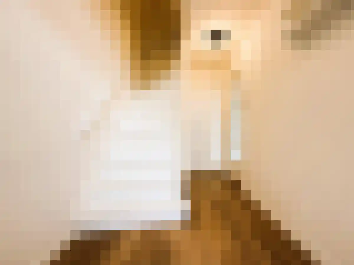 Pa Verkuijllaan Badhoevedorp foto 2