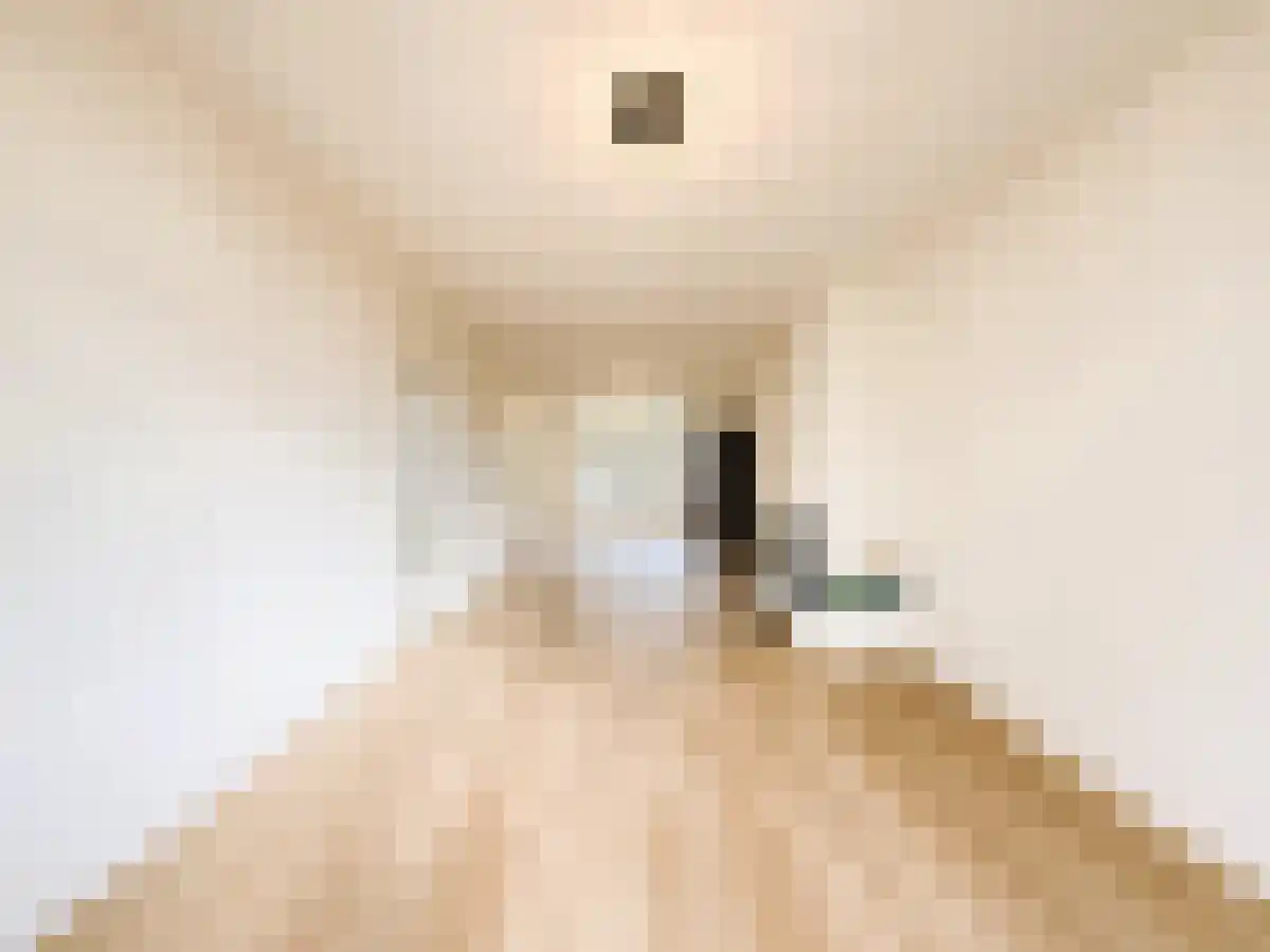 Pa Verkuijllaan Badhoevedorp thumbnail 6