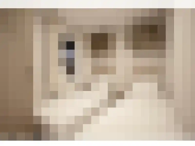 Paadje 12 Nieuwe Niedorp thumbnail 11