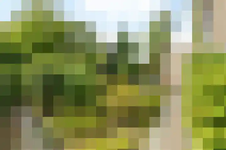 Paadweg 19 Hoensbroek thumbnail 25