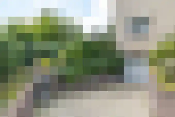 Paadweg 19 Hoensbroek thumbnail 27
