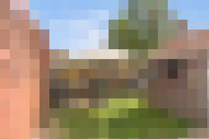 Paadweg 32 Hoensbroek thumbnail 27