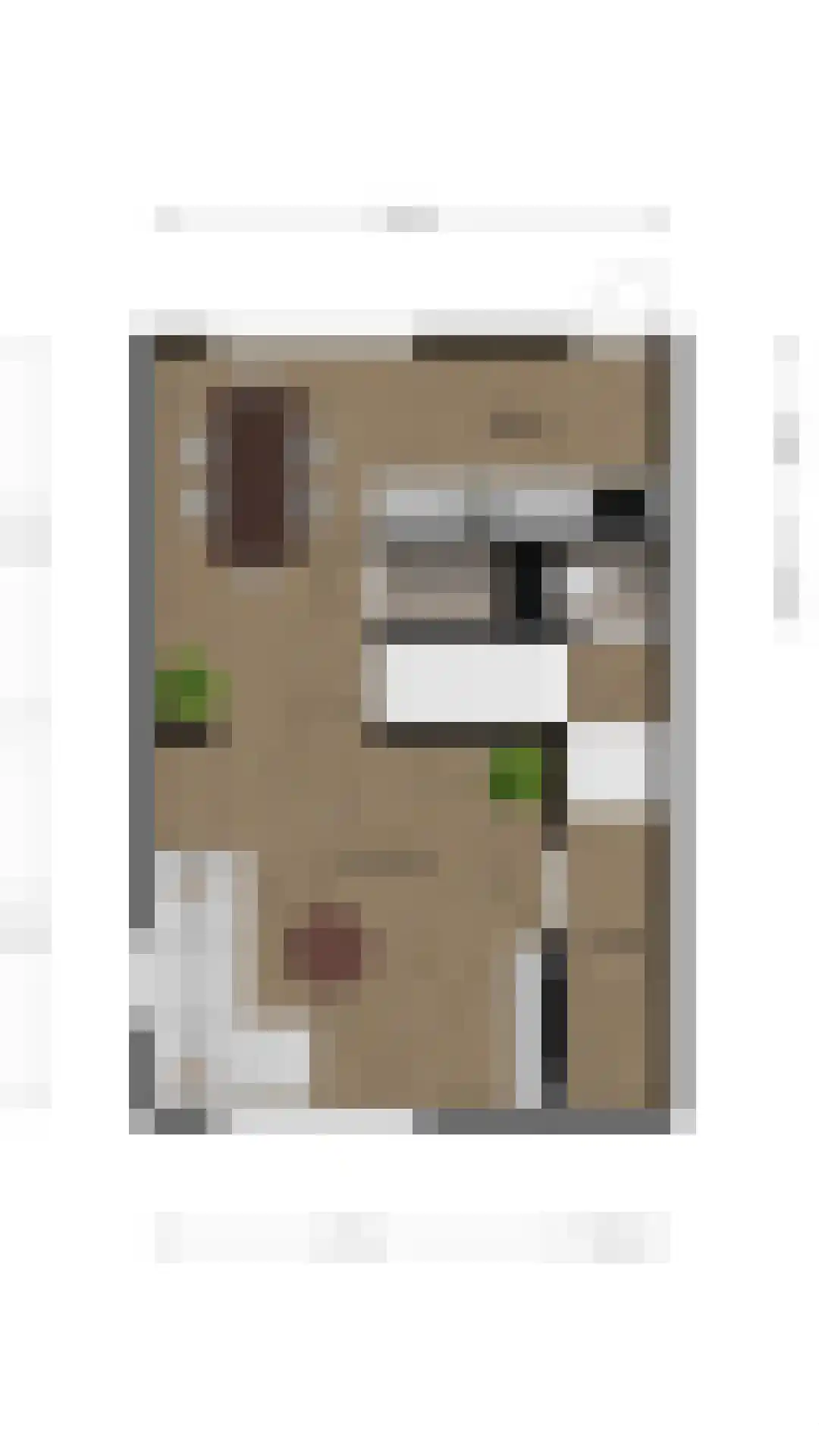 Paadweg 40 Hoensbroek thumbnail 30