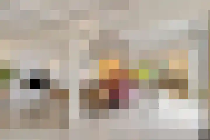 Paalbeekweg 14 Epe thumbnail 11