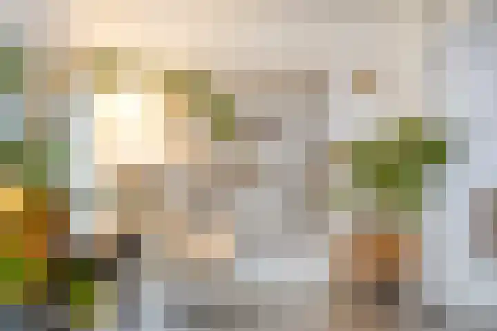 Paalbeekweg 14 Epe thumbnail 14