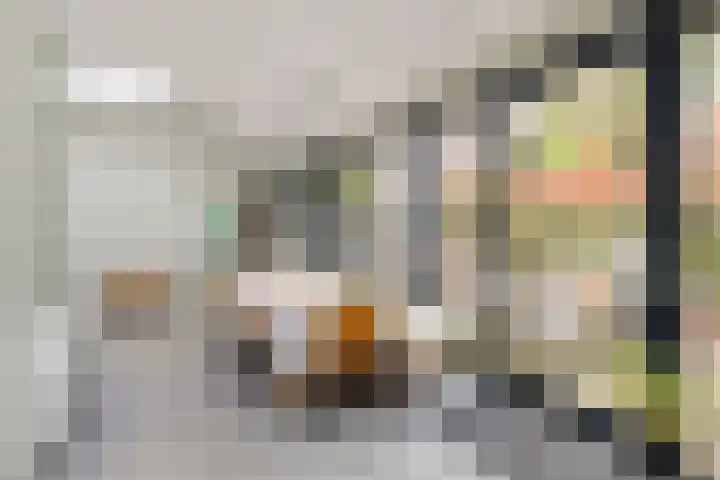 Paalbeekweg 14 Epe thumbnail 22