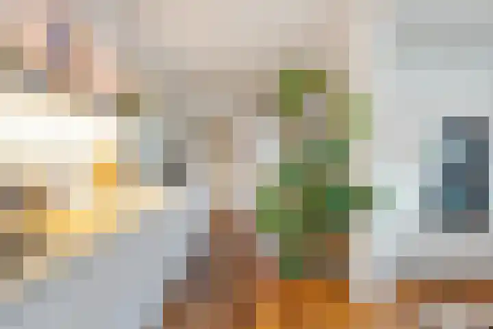 Paalbeekweg 14 Epe thumbnail 27