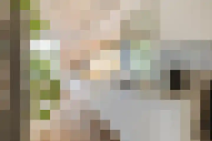 Paalbeekweg 14 Epe thumbnail 28