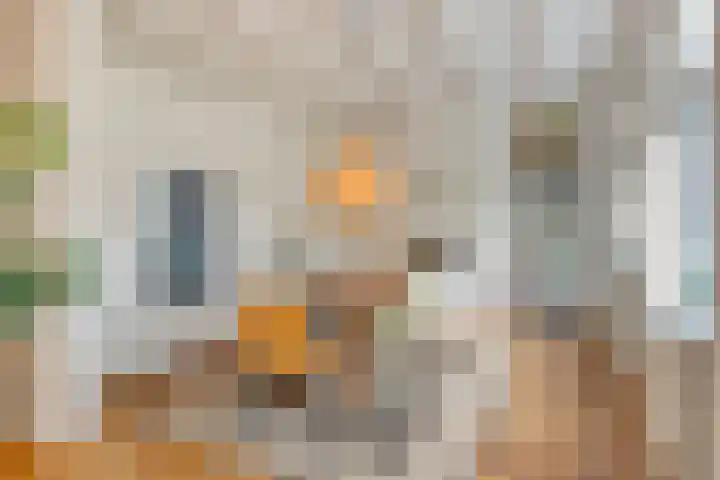 Paalbeekweg 14 Epe thumbnail 30
