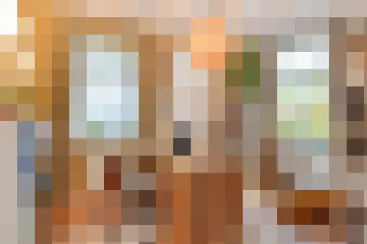 Paalbeekweg 14 Epe thumbnail 32