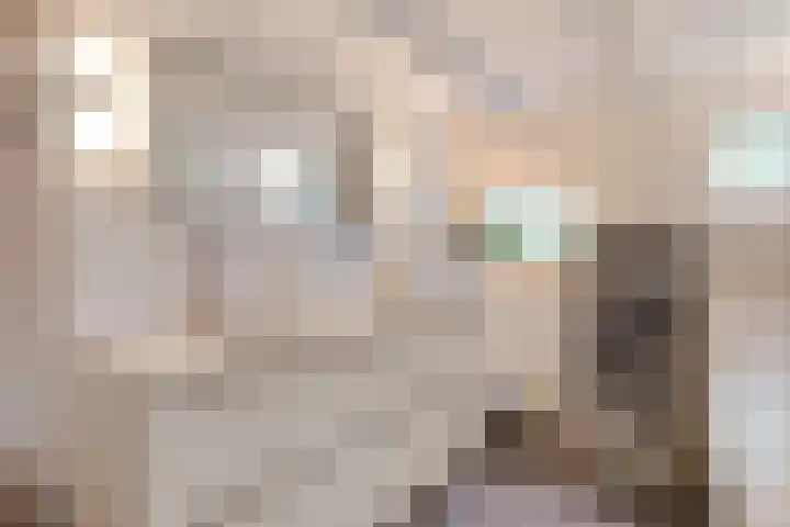 Paalbeekweg 14 Epe thumbnail 34