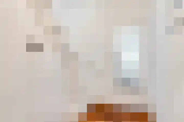 Paalbeekweg 14 Epe thumbnail 37
