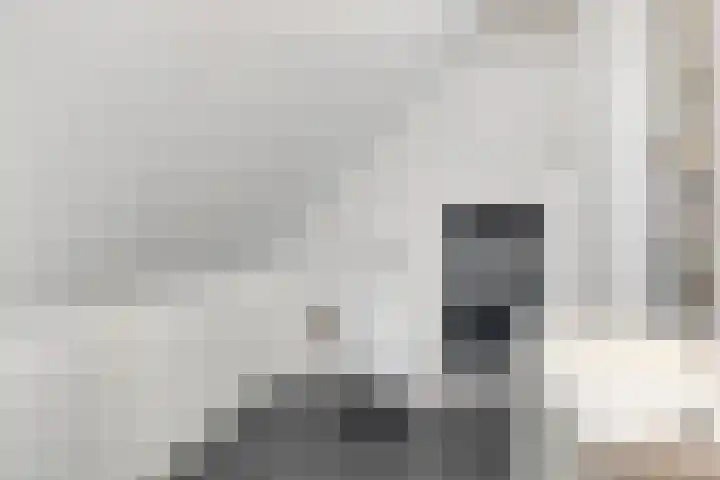 Paalbeekweg 14 Epe thumbnail 42