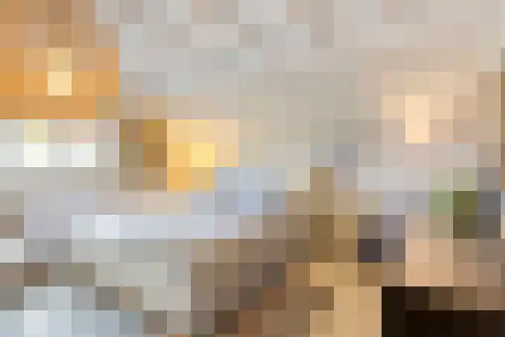 Paalbeekweg 14 Epe thumbnail 43