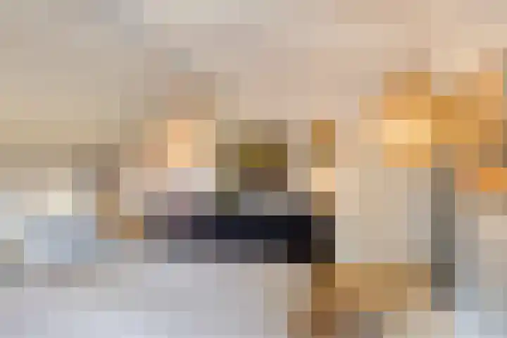 Paalbeekweg 14 Epe thumbnail 44