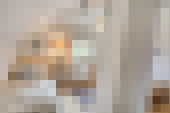 Paalbeekweg 14 Epe thumbnail 45