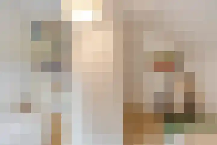 Paalbeekweg 14 Epe thumbnail 46