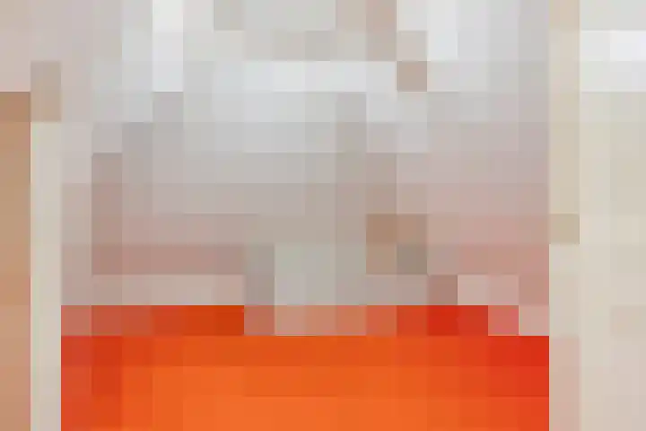 Paalbeekweg 14 Epe thumbnail 49