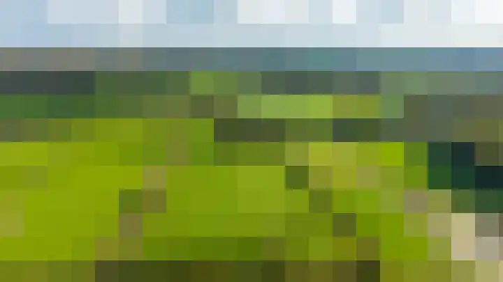 Paalbeekweg 14 Epe thumbnail 5