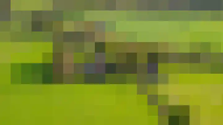 Paalbeekweg 14 Epe thumbnail 52