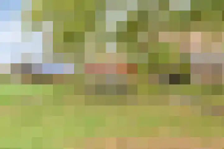 Paalbeekweg 14 Epe thumbnail 53