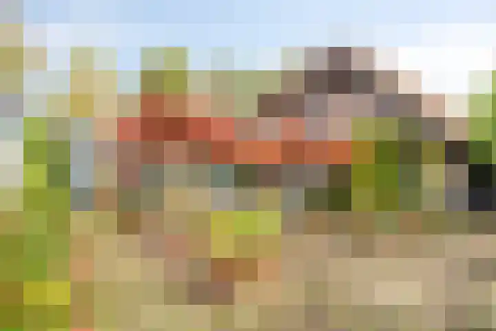 Paalbeekweg 14 Epe thumbnail 55