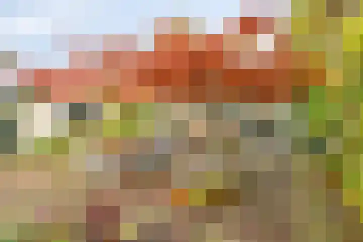 Paalbeekweg 14 Epe thumbnail 56