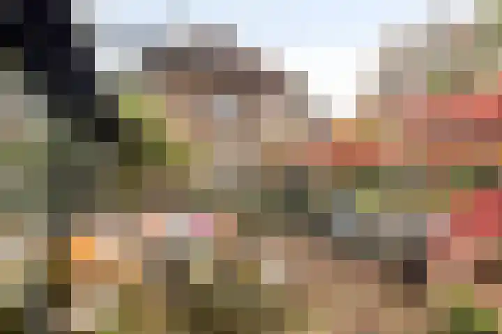 Paalbeekweg 14 Epe thumbnail 57