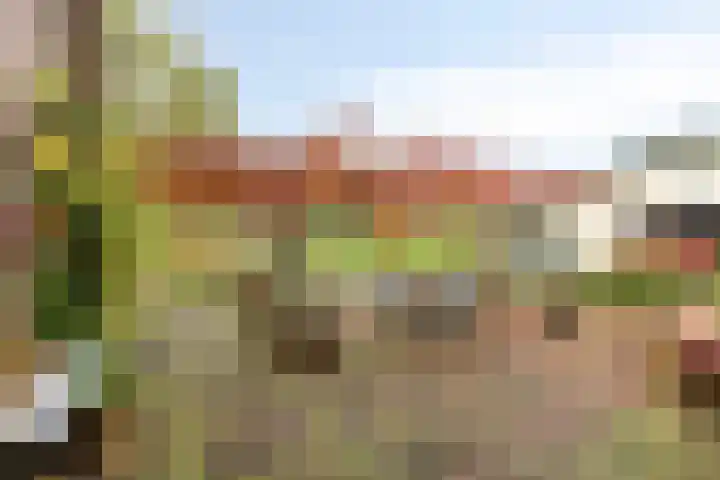 Paalbeekweg 14 Epe thumbnail 58