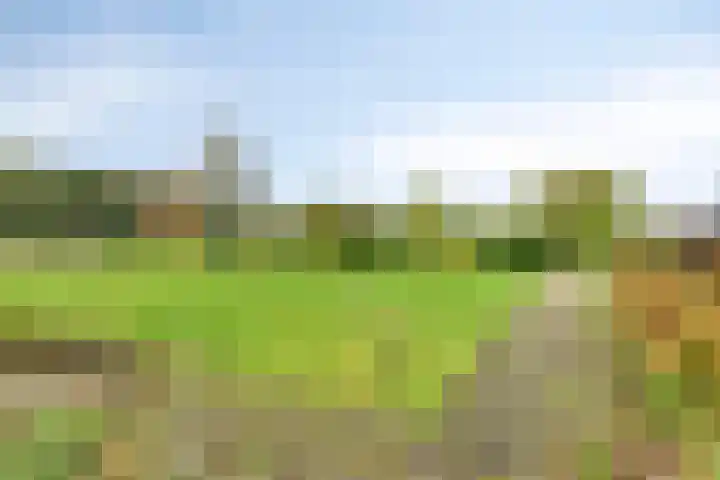 Paalbeekweg 14 Epe thumbnail 59