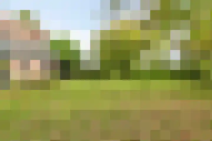 Paalbeekweg 14 Epe thumbnail 60