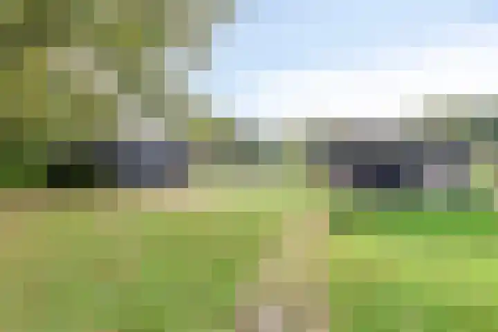 Paalbeekweg 14 Epe thumbnail 62