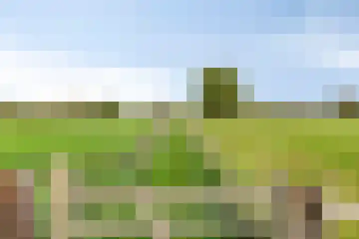 Paalbeekweg 14 Epe thumbnail 64