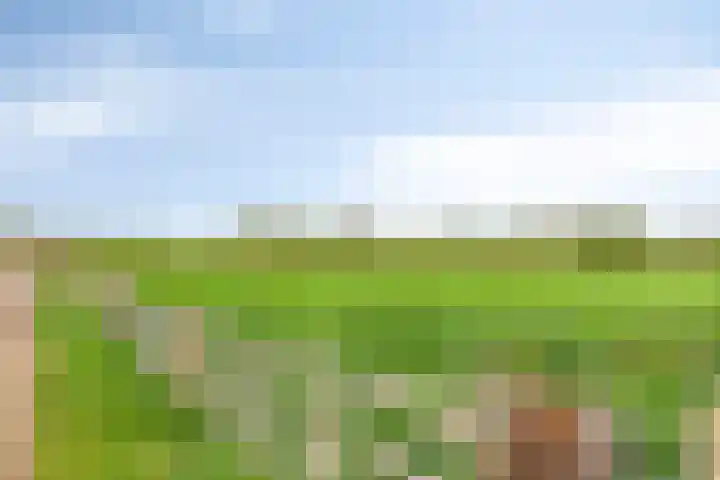 Paalbeekweg 14 Epe thumbnail 65