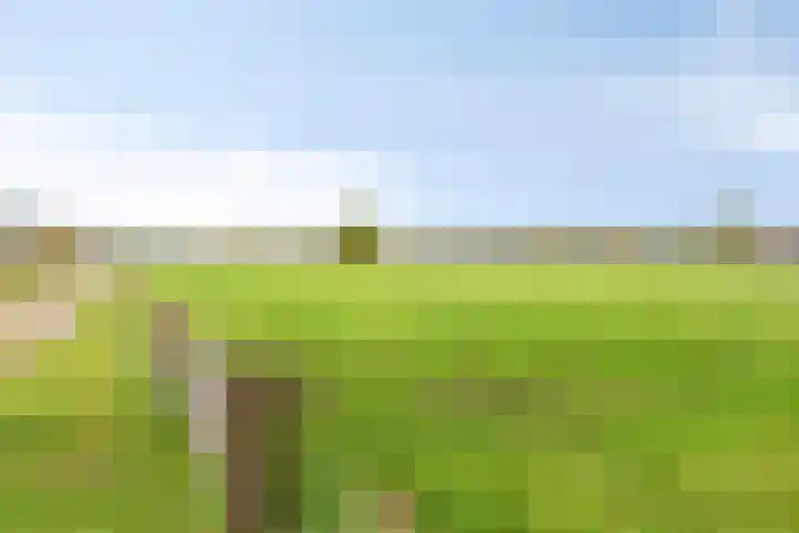 Paalbeekweg 14 Epe thumbnail 66