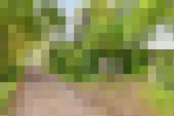 Paalbeekweg 14 Epe thumbnail 67